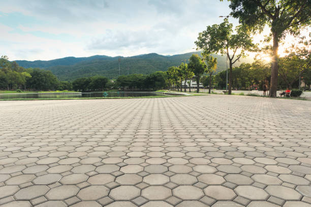 Best Brick Driveway Pavers  in Afton, MN